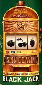 Spin to Win - Black Jack