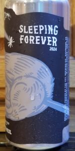 Sleeping Forever (2024)