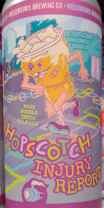 Hopscotch Injury Report