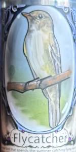 Flycatcher