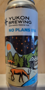 No Plans IPA