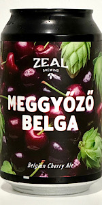 MeggyÅzÅ Belga