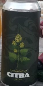Evolution Of Citra Part 1