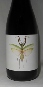 Praying Mantis
