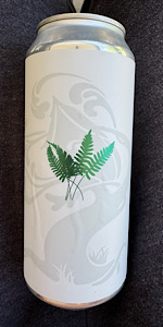 Boston Fern