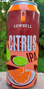 Citrus IPA