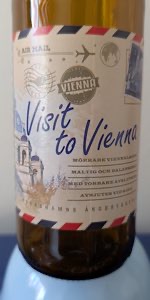 Visit To Vienna