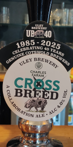 Cross Breed