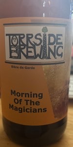 Morning of the Magicians