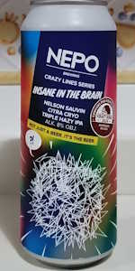 Insane in the Brain