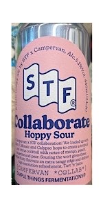 Collaborate - Hoppy Sour