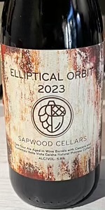 Elliptical Orbit
