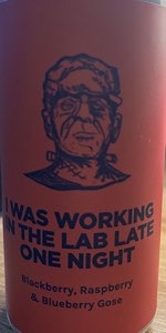 I Was Working in the Lab Late One Night