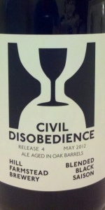 Civil Disobedience #4