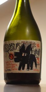 Cerasus Dog