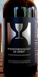 Phenomenology Of Spirit