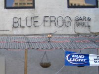 Blue Frog Grog & Grill