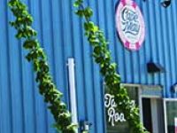 Cape May Brewing Company