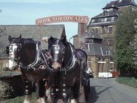 A Dimpled Tankard and Leather on the Willow — Hook Norton Brewery,  Oxfordshire, England — Good Beer Hunting