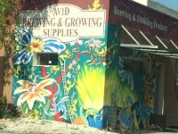 Avid Brew Company