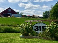 Local 315 Brewing Company