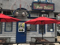 The Public Option