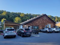 Shy Bear Brewing