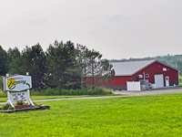Summer Hill Brewing