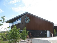 River Saint Joe Brewing Co