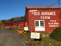 Black Snake Brewing