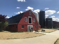 Flying Ace Farm