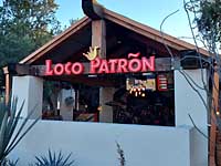 Loco PatrÃµn Mexican Brewery