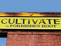 Cultivate by Forbidden Root