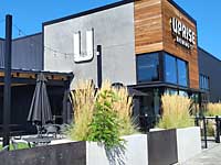 Uprise Brewing Company