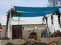 Ebony & Ivory Brewing