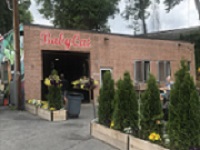 Babycat Brewery