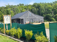 Mystic Hills Brewing